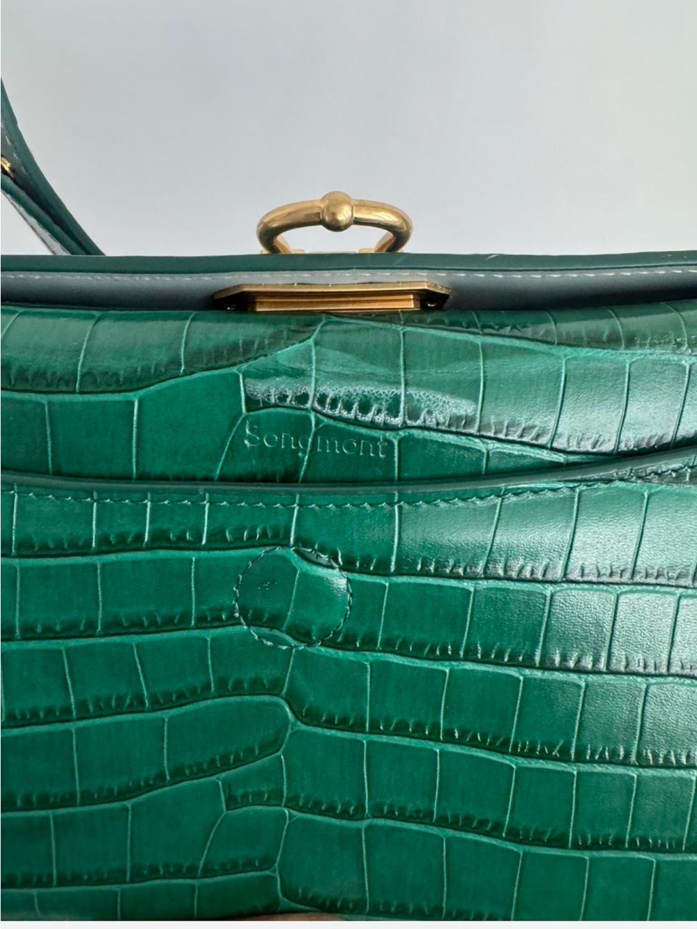 Authentic! Songmont! Green Croc-Embossed Leather Shoulder Bag - Picture 5 of 7